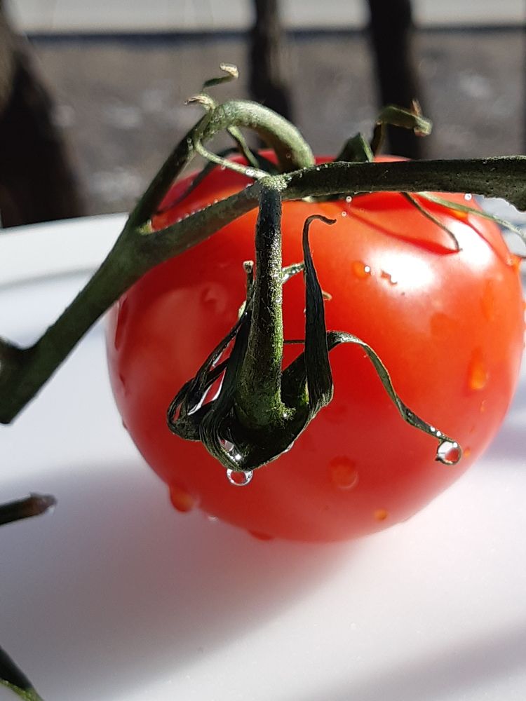 Photograph by Inessa Botasheva