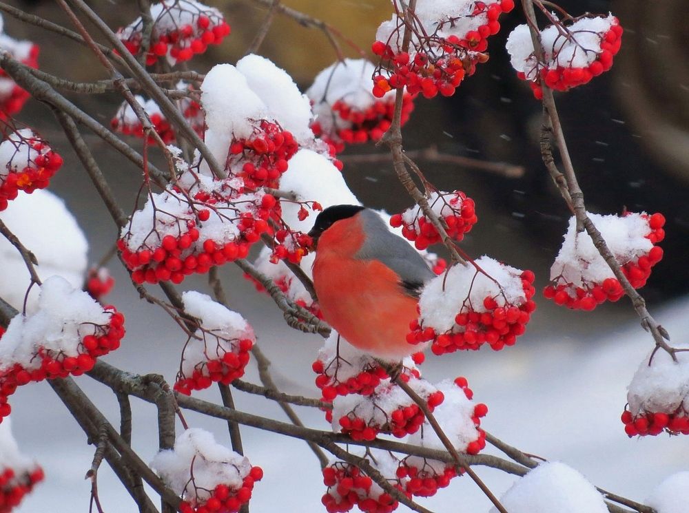 Photograph by Наталия Васильева
