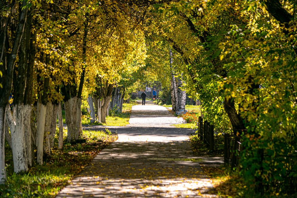 Photograph by Игорь Скорняков