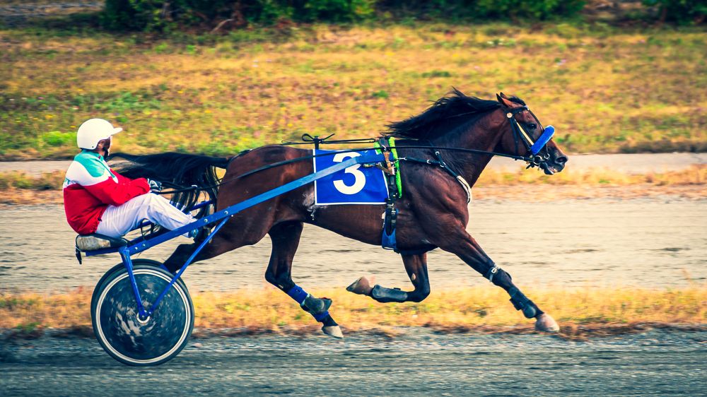 Photograph by Александр Ендин