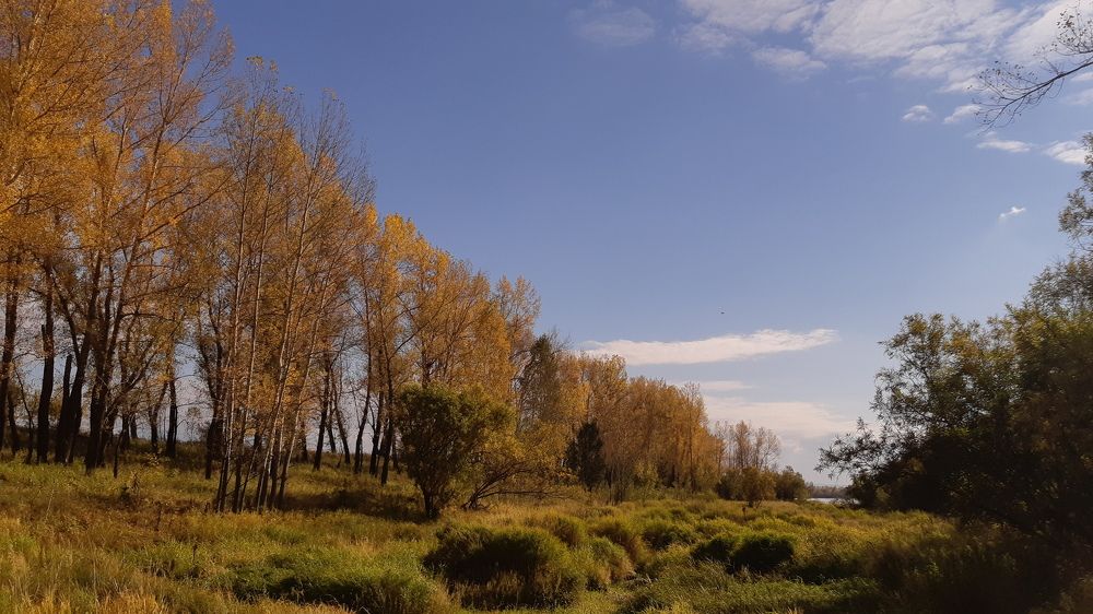 Photograph by Елизавета Загудаева