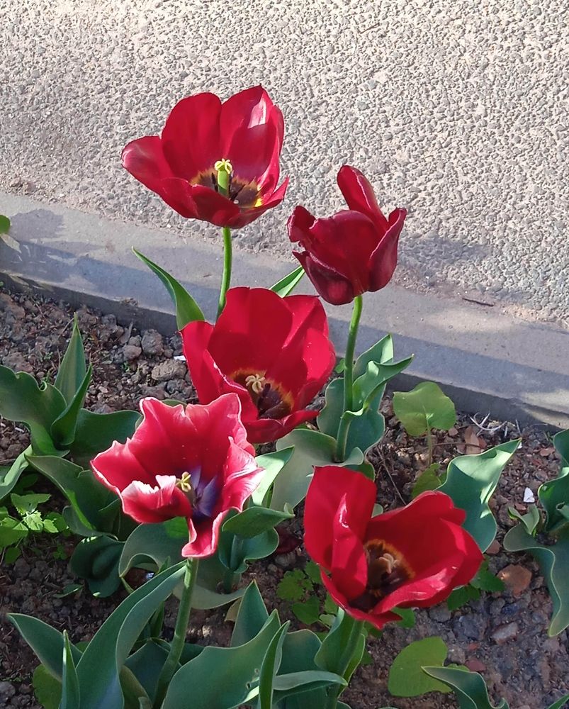 Photograph by Наталия Колемасова