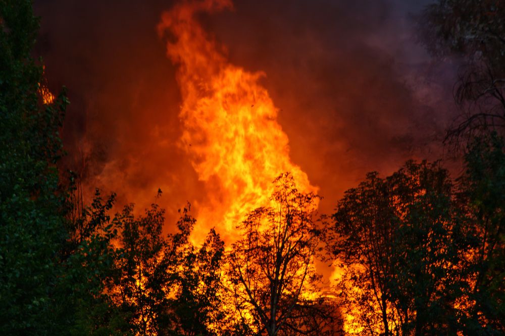 Photograph by Максим Ушенин