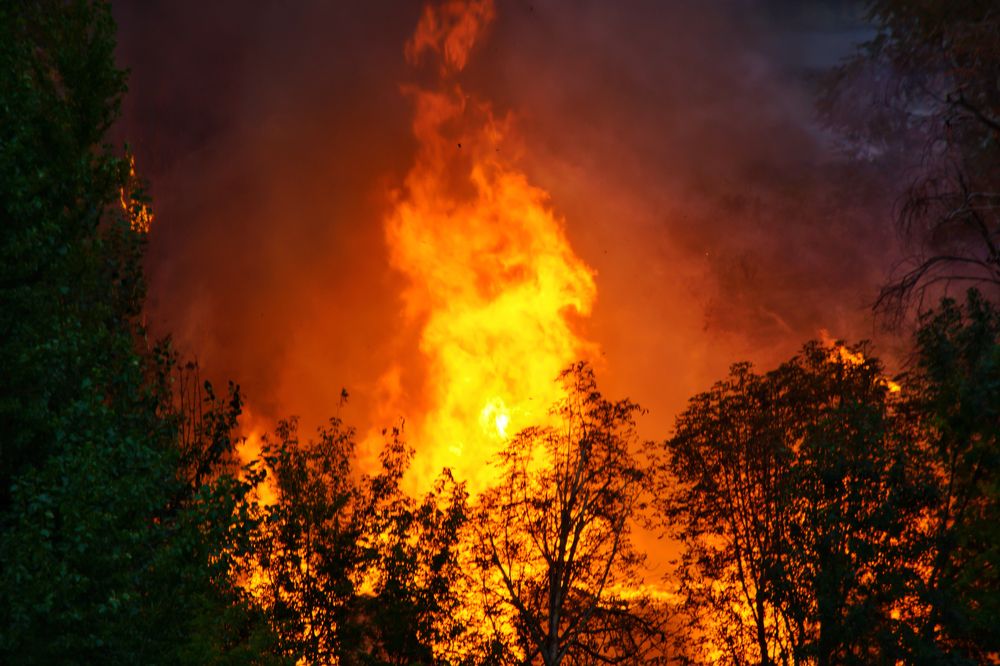 Photograph by Максим Ушенин