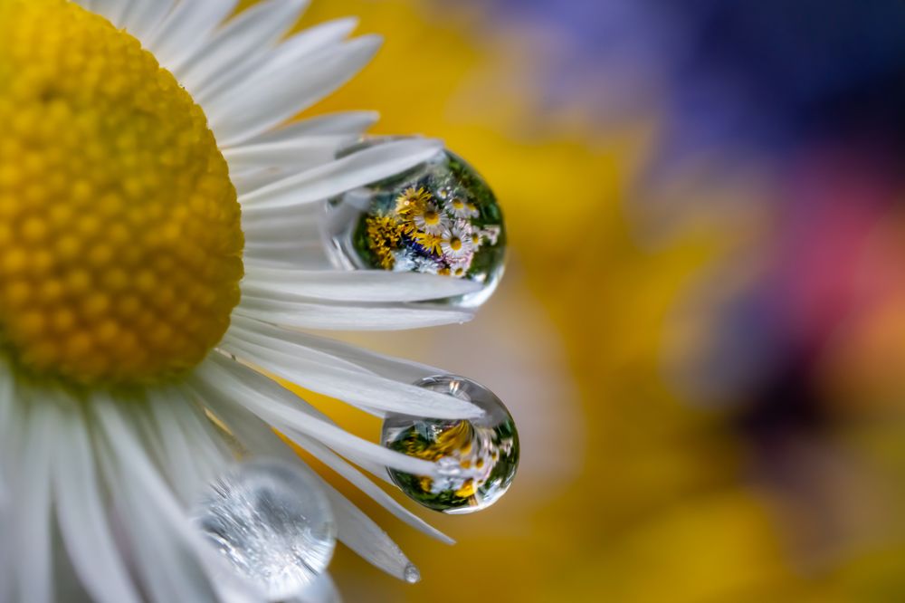 Photograph by Николай Фонарёв