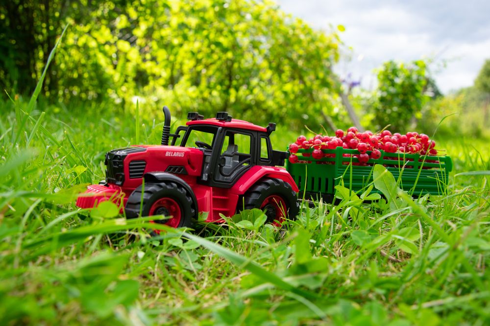 Photograph by Светлана