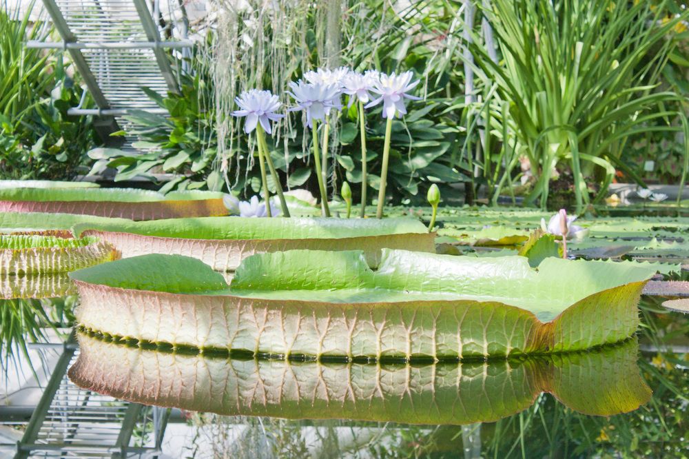 Photograph by Мария Самоловова