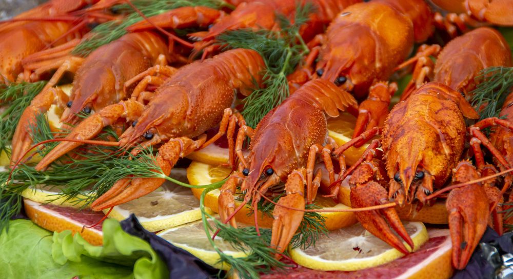 Photograph by Савчук Сергей