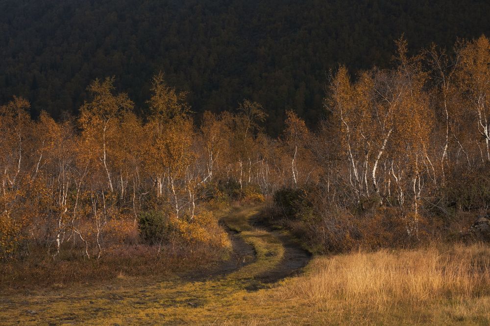 Photograph by Светлана Краюшкина