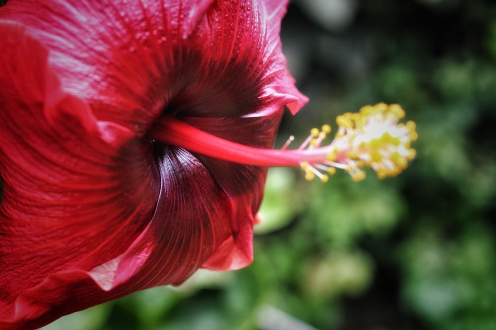 Photograph by Mauricio Mora Flores