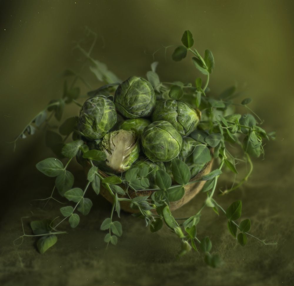 Photograph by Svoboda Andreeva