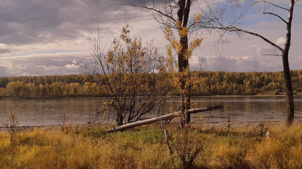 Photograph by Елизавета Загудаева