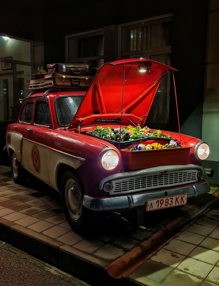 Photograph by Инна Майорова