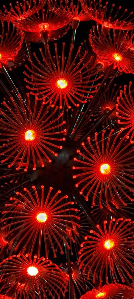 Photograph by Инна Майорова