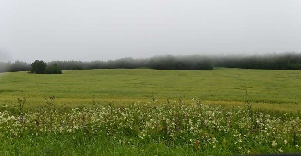 Photograph by Юлия Лис-а