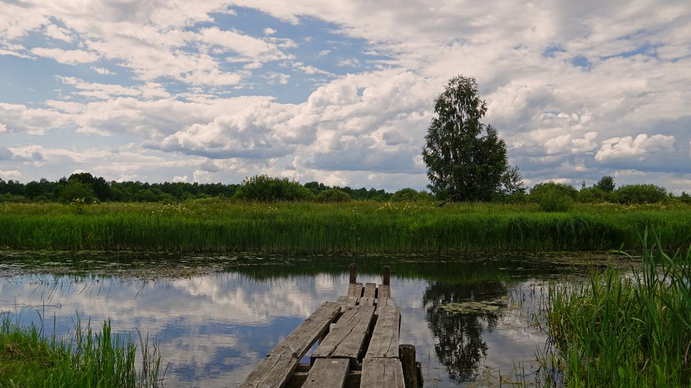 Photograph by Блюмина Елена