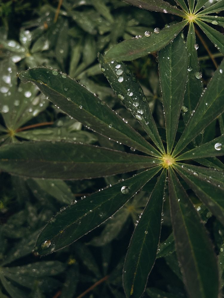 Photograph by Maria Kurakhtanova