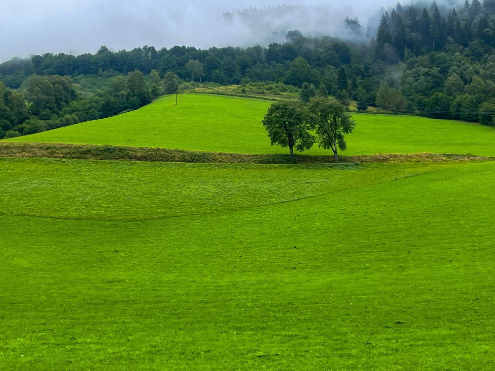 Photograph by Анжелика Костин