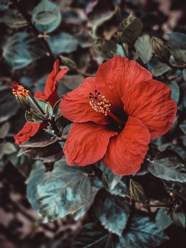 Photograph by Jana Smirnova