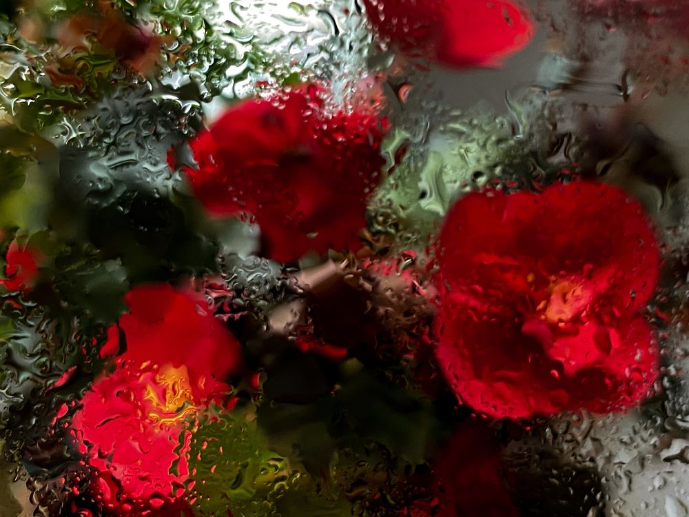 Photograph by Оксана Сидоренко