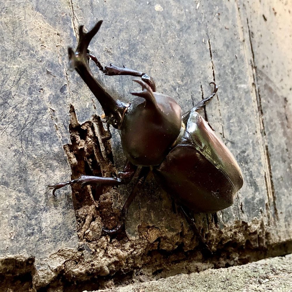 Photograph by Олег Банковский