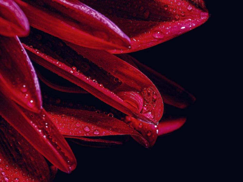 Фотография автора Viktoria