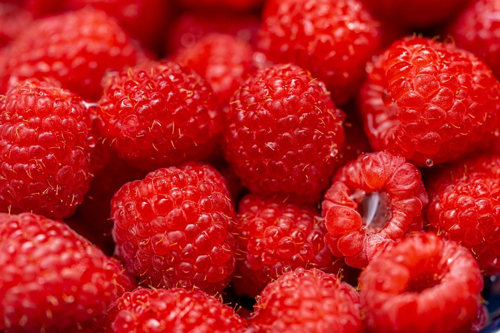 Фотография автора Viktoria