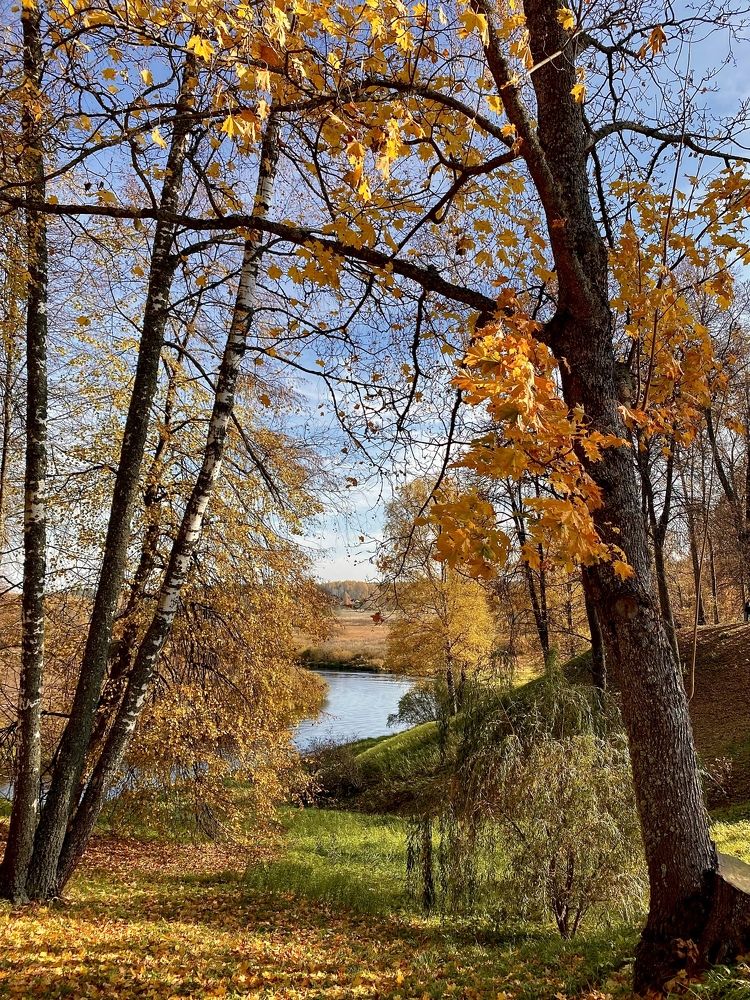 Photograph by Марина Танаева