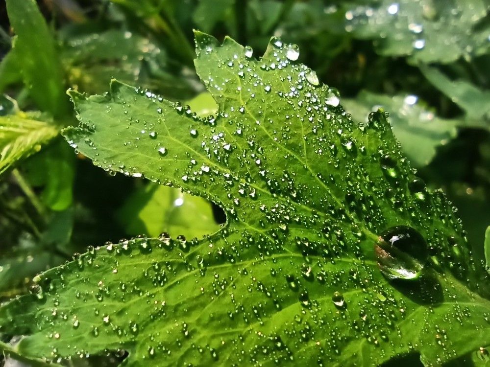 Фотография автора Таня Долгушева