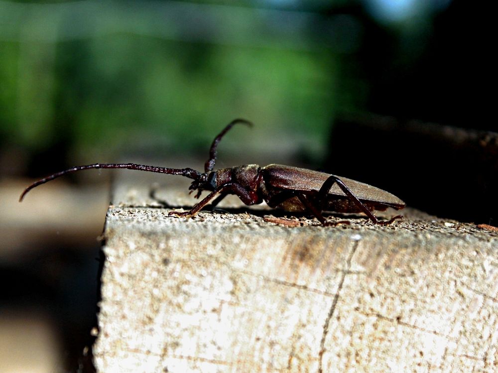 Фотография автора Таня Долгушева