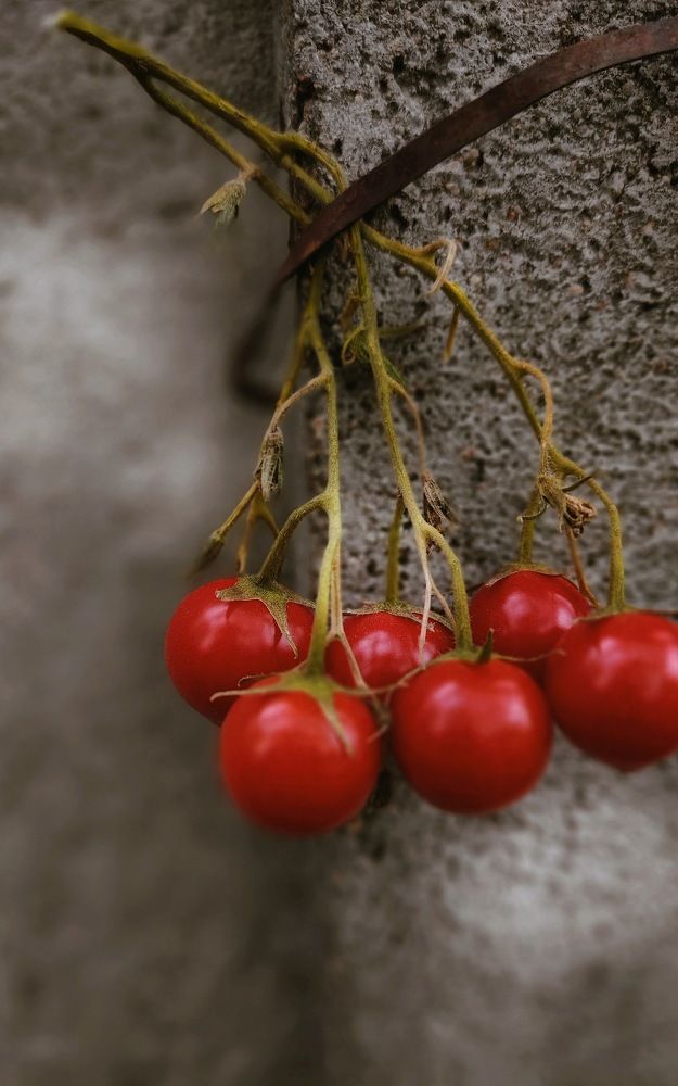 Photograph by Виктория Косинская