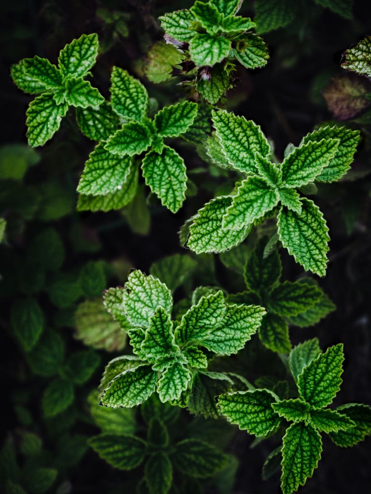 Photograph by Дмитрий Головко