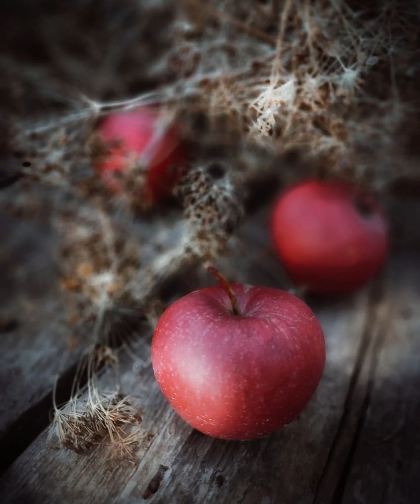 Папины яблочки