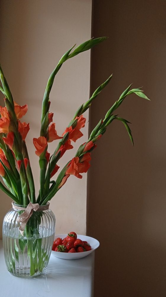 Фотография автора Valeryia Shkoda