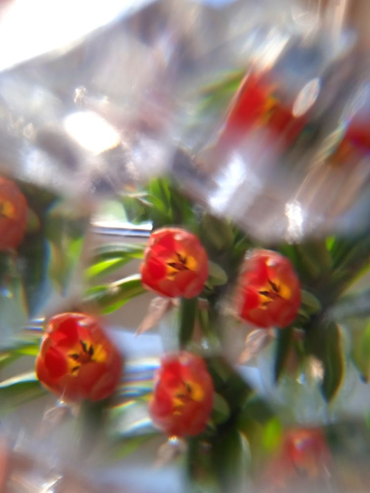 Фотография автора Valeryia Shkoda