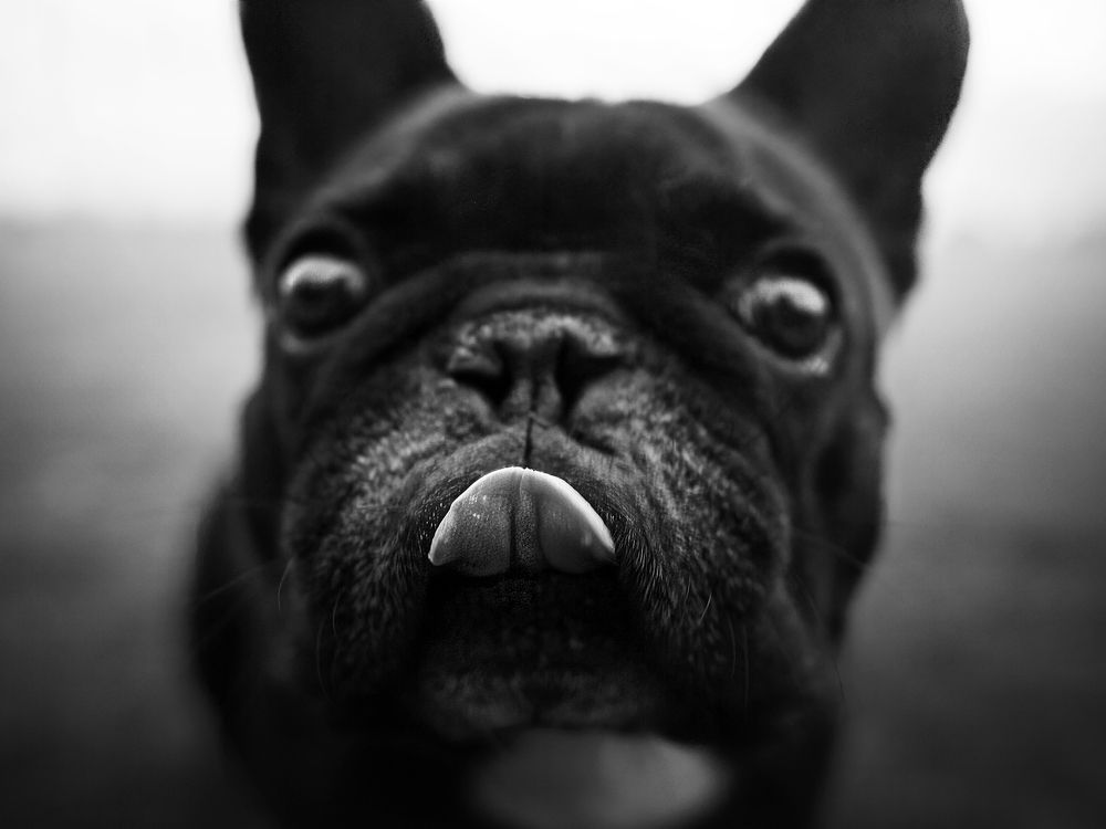 Photograph by Dorota Hnatová