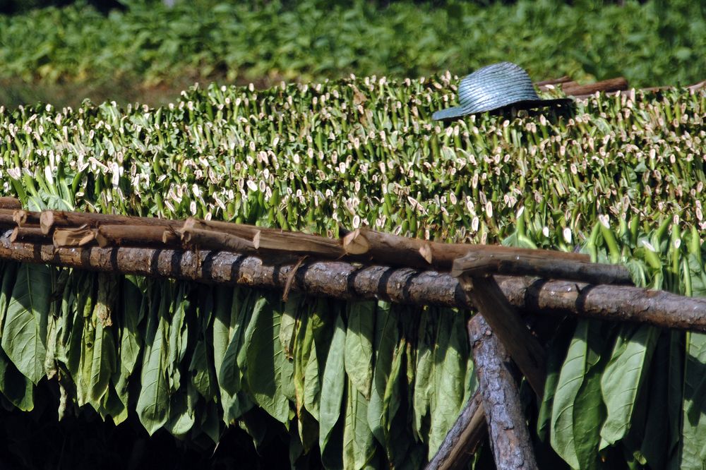 Photograph by Luisa Martina Hernández