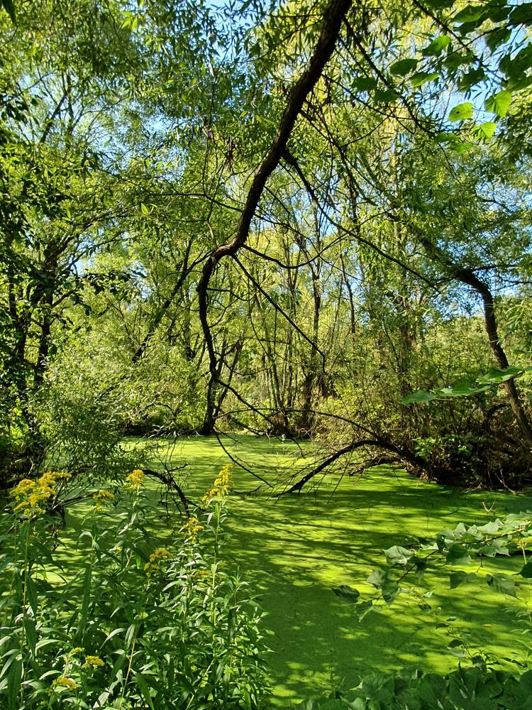 Photograph by Айгуль Кубиева