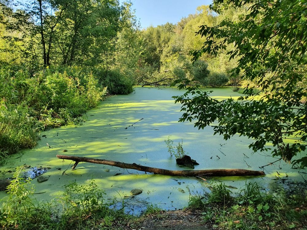 Photograph by Айгуль Кубиева