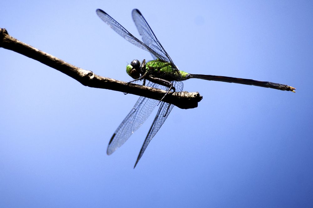 Photograph by Luisa Martina Hernández