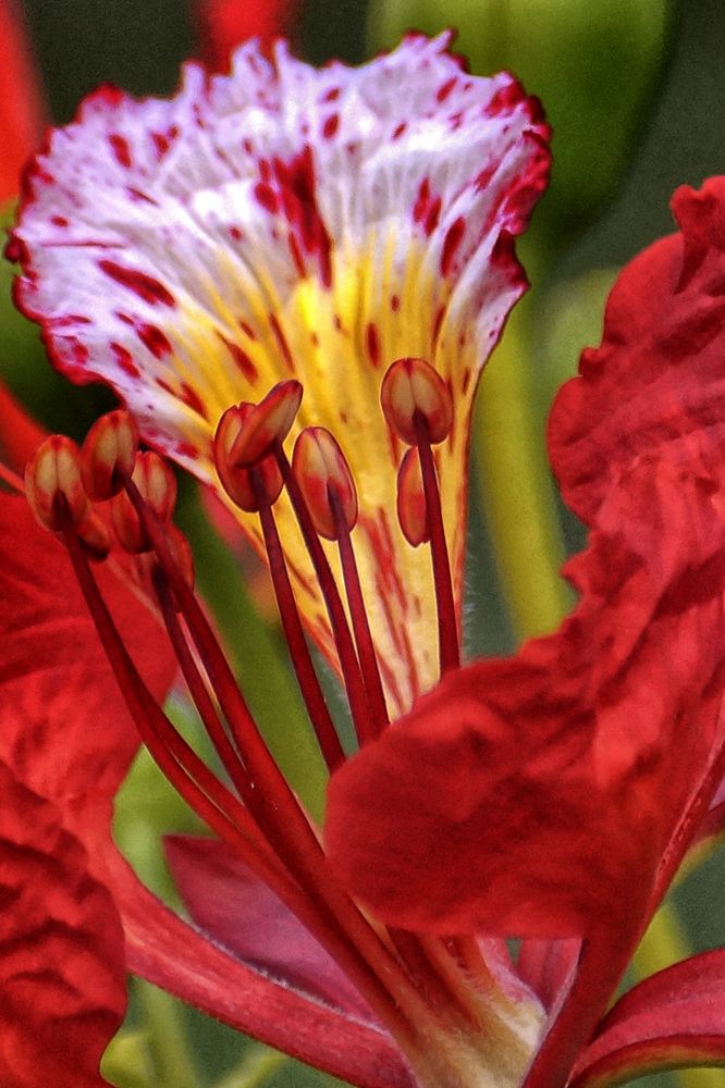 Photograph by Luisa Martina Hernández