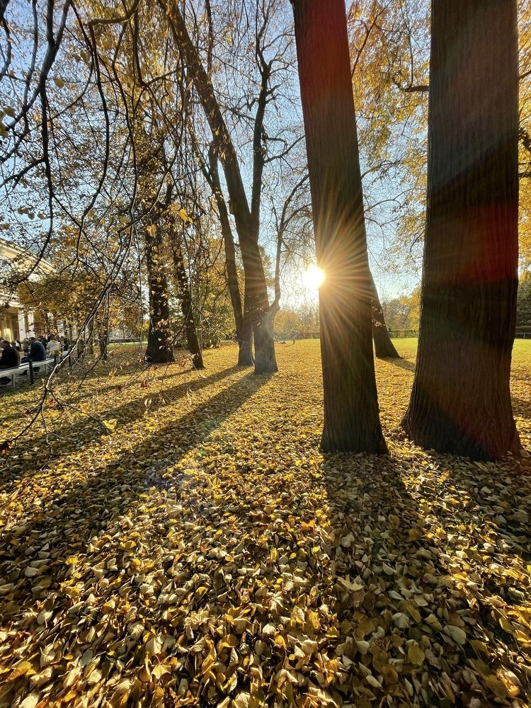 Photograph by Елена Джалалян