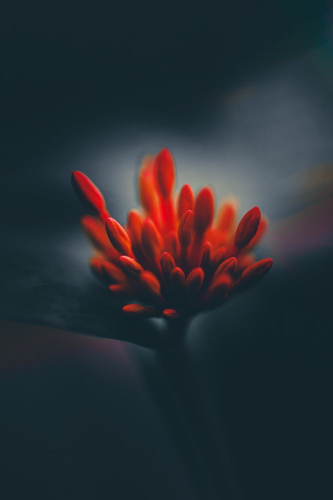 Фотография автора moto ambar