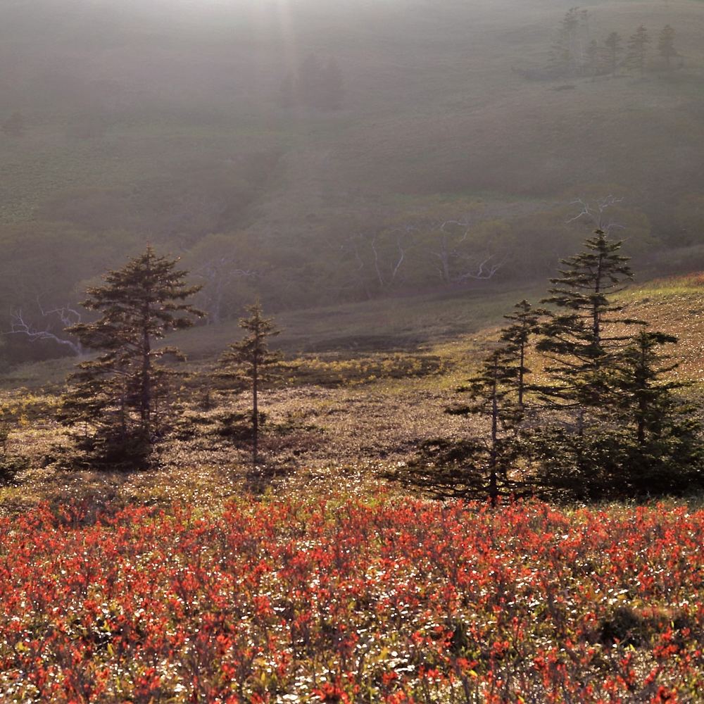 Photograph by Максимушкина Ольга