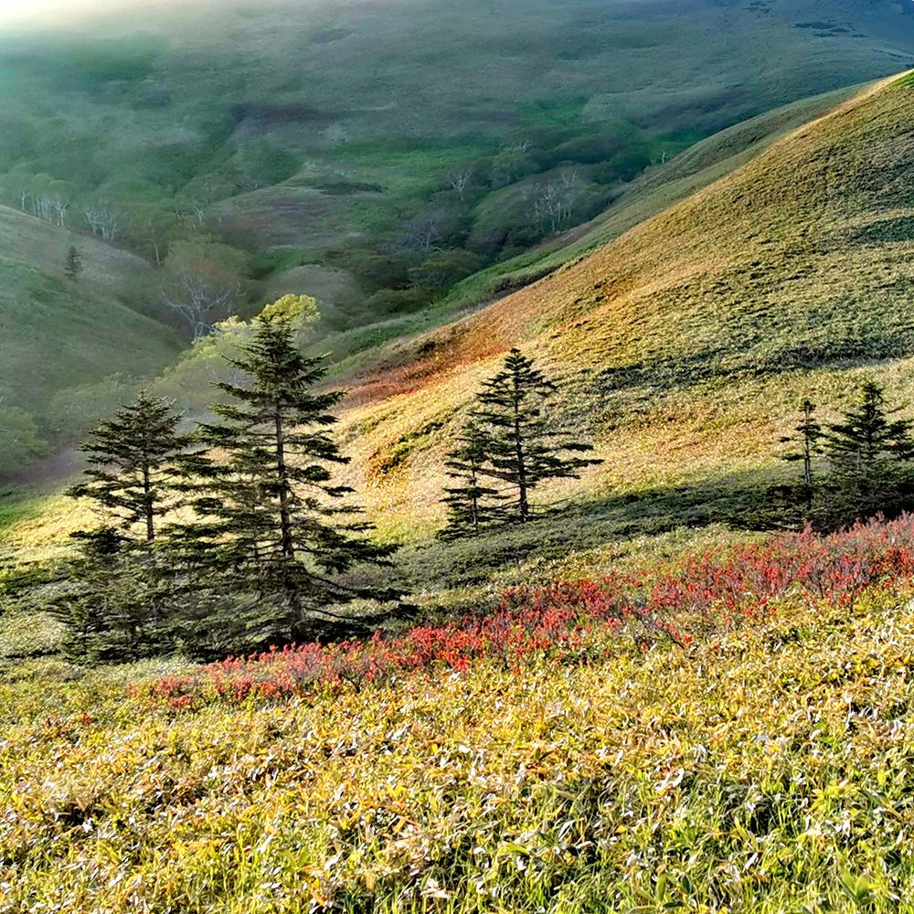 Photograph by Максимушкина Ольга