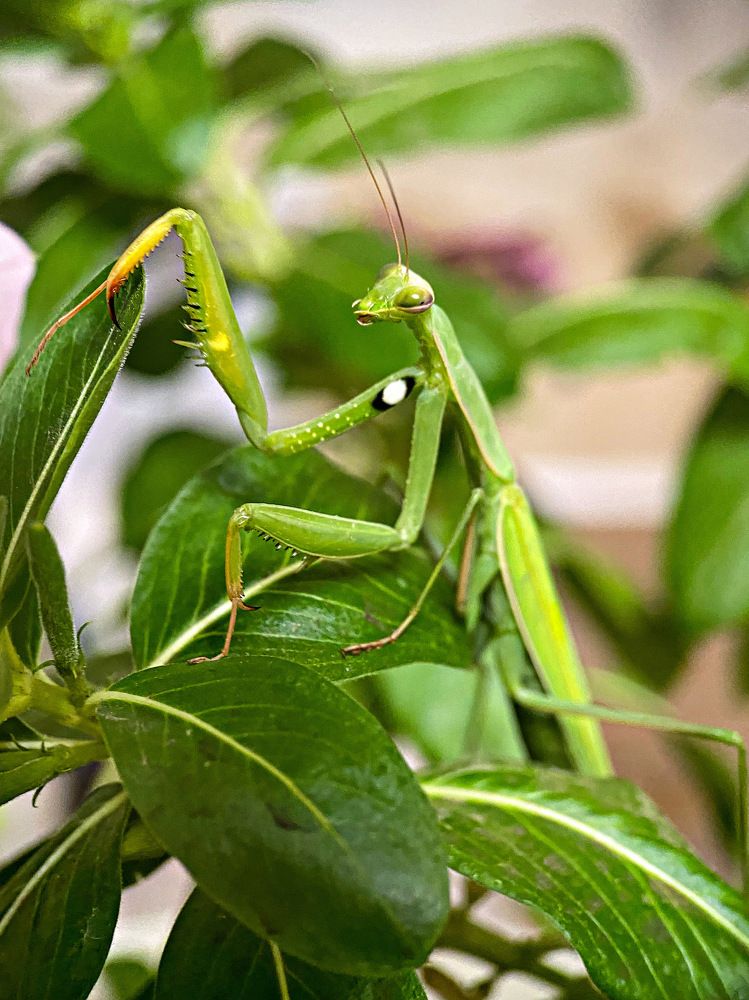 Photograph by Александра Гонтарь