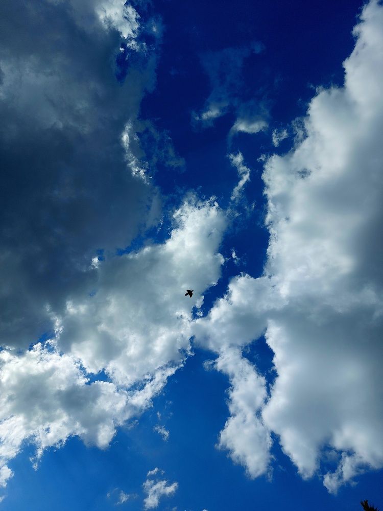 Photograph by Нина Паршина