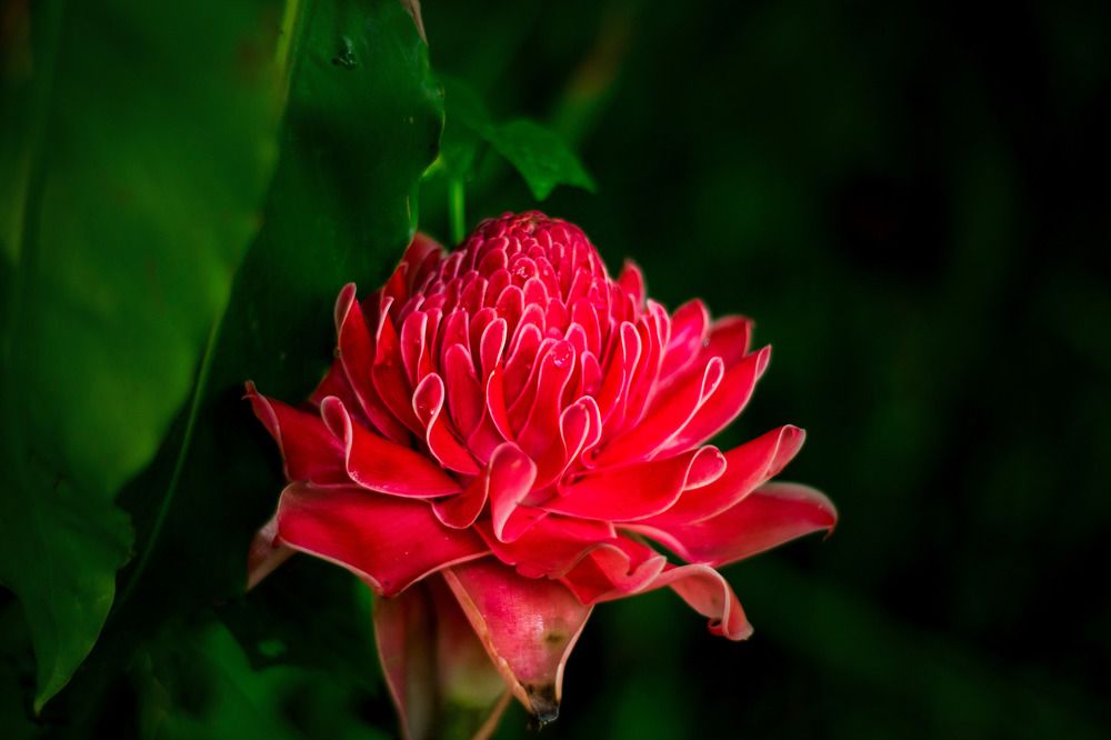 Photograph by Игорь Еремеев