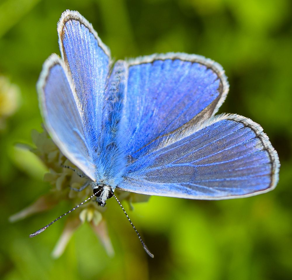 Photograph by Блохина Ольга