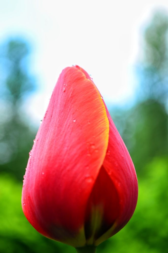 Photograph by Максим Солдатенко